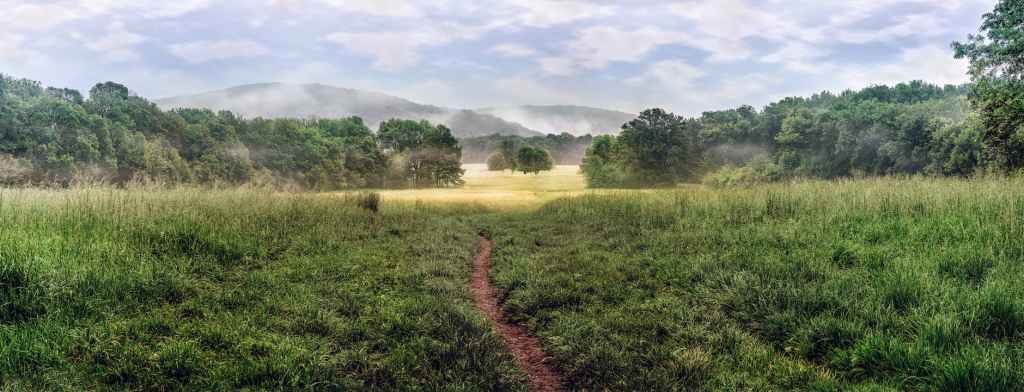 Antinomianism & The Prodigal&nbsp;Son